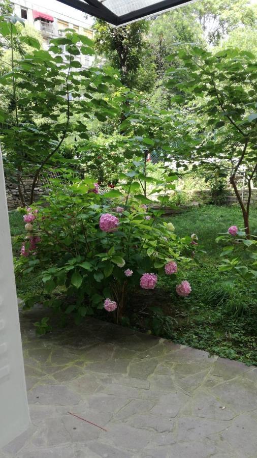 Vracar Krunska Jamiva Belgrado Exterior foto